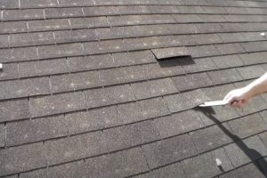 Roof inspection by a Kitchener Roofing inspector